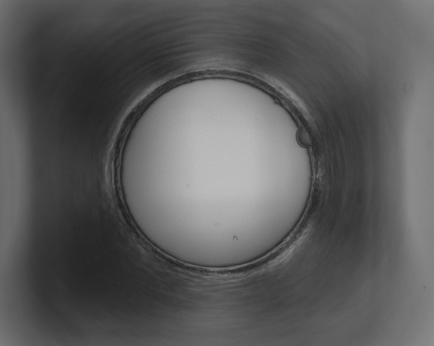 X0000101090877200806261100