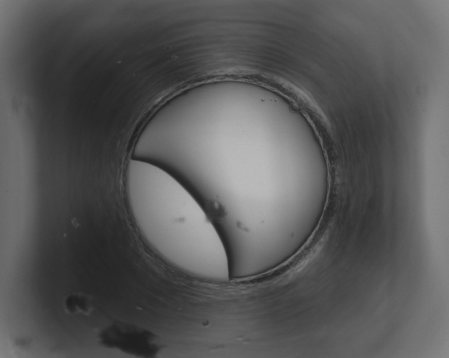 X0000101090881200806261100