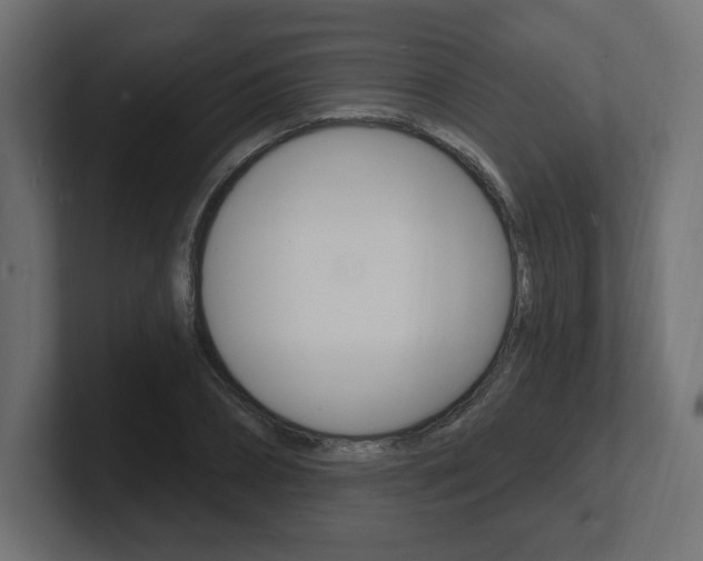 X0000101090882200806261100