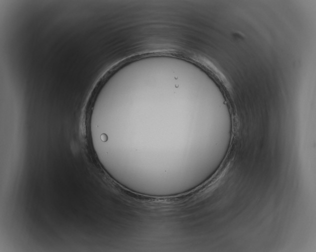 X0000101090883200806261100