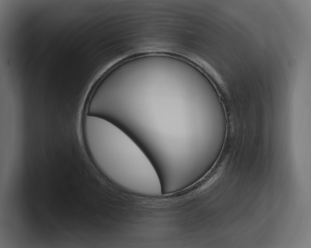 X0000101090885200806261100