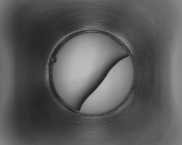 X0000101090888200806261100