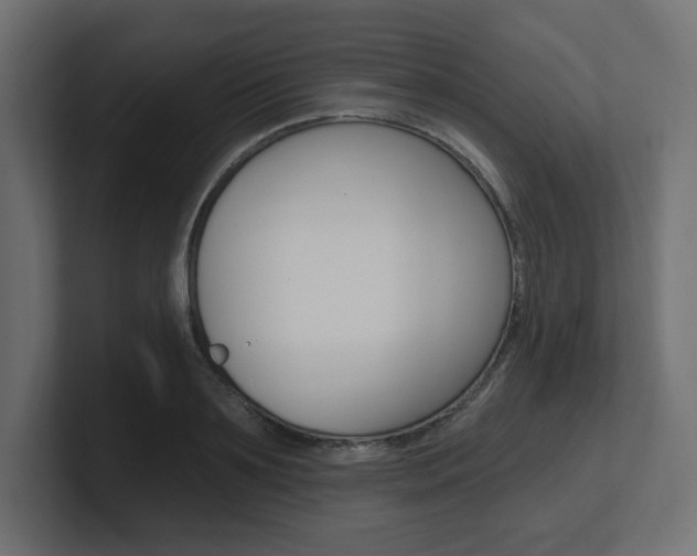 X0000101090891200806261100