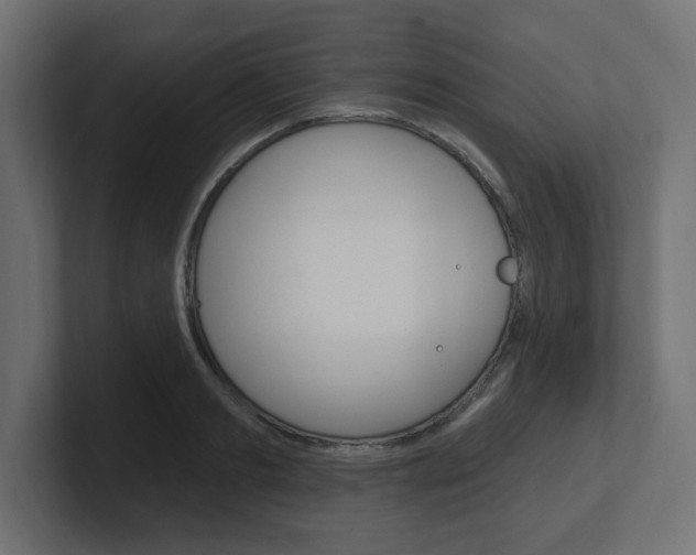X0000101090893200806261100