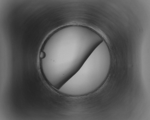 X0000101090896200806261100