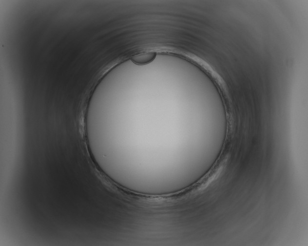 X0000101090897200806261100