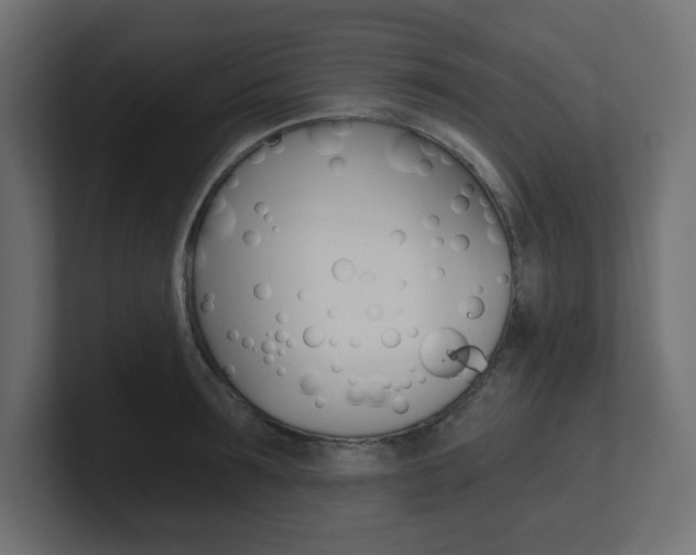 X0000101090899200806261100