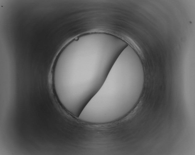 X0000101090900200806261100