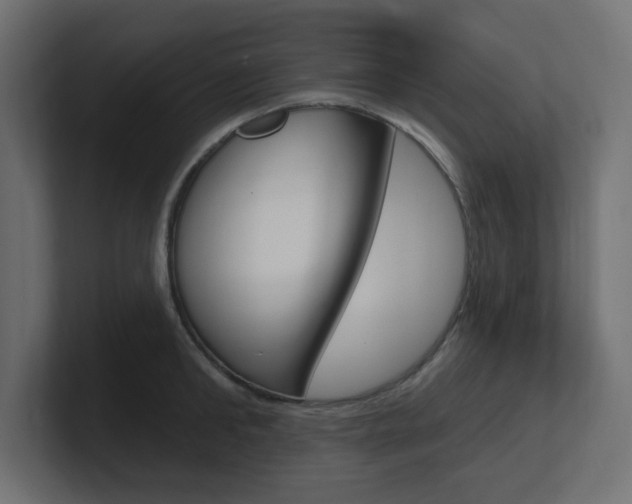 X0000101090902200806261059