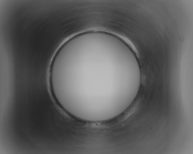 X0000101090903200806261059