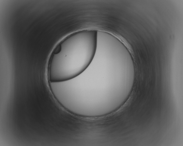 X0000101090904200806261059