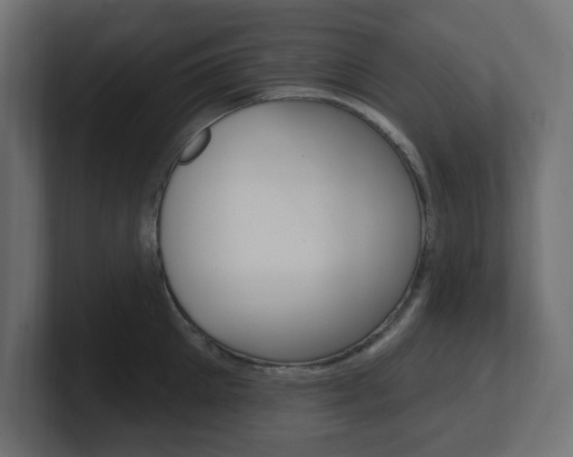 X0000101090905200806261059