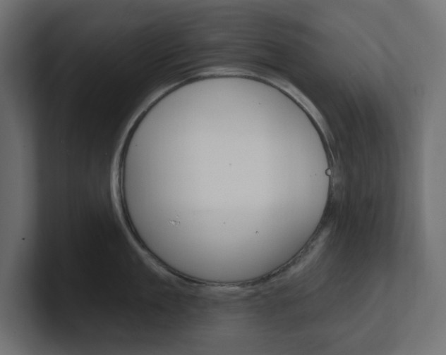 X0000101090909200806261059