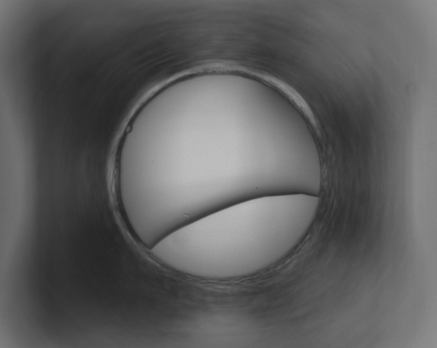 X0000101090911200806261059