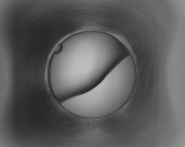 X0000101090912200806261059