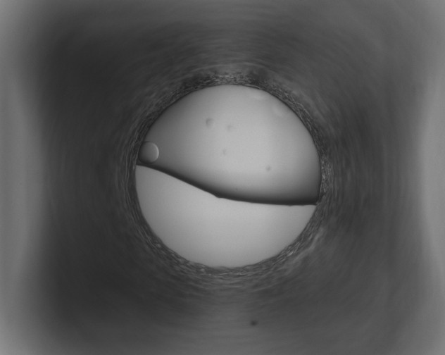X0000101090913200806261059