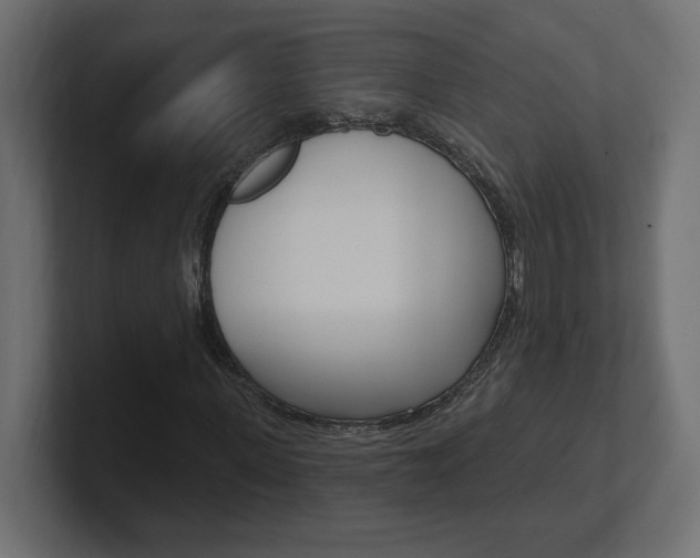 X0000101090915200806261059