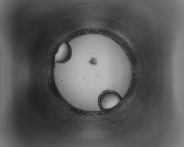 X0000101090918200806261059