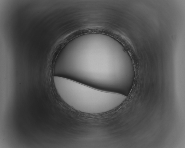X0000101090920200806261059