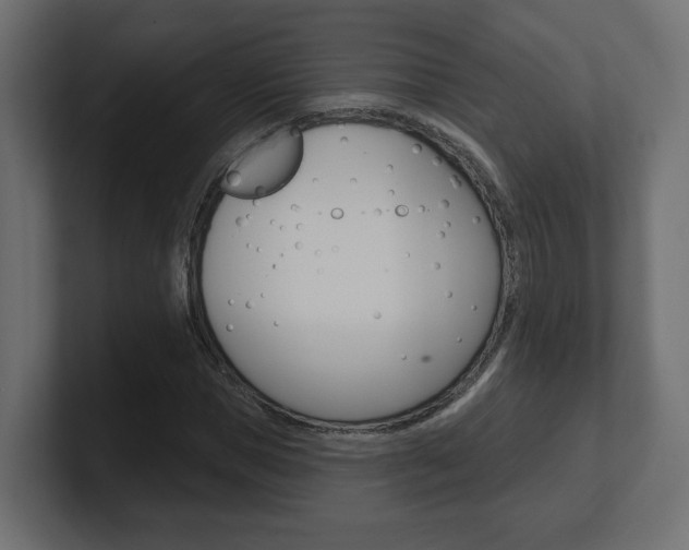 X0000101090921200806261059