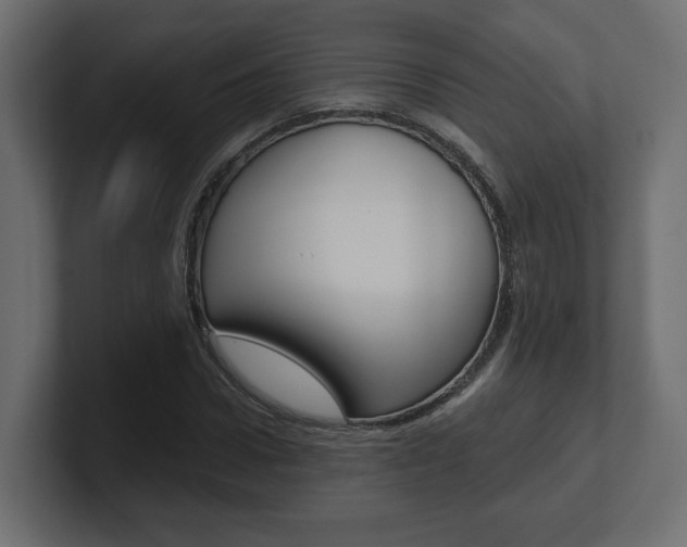 X0000101090922200806261059