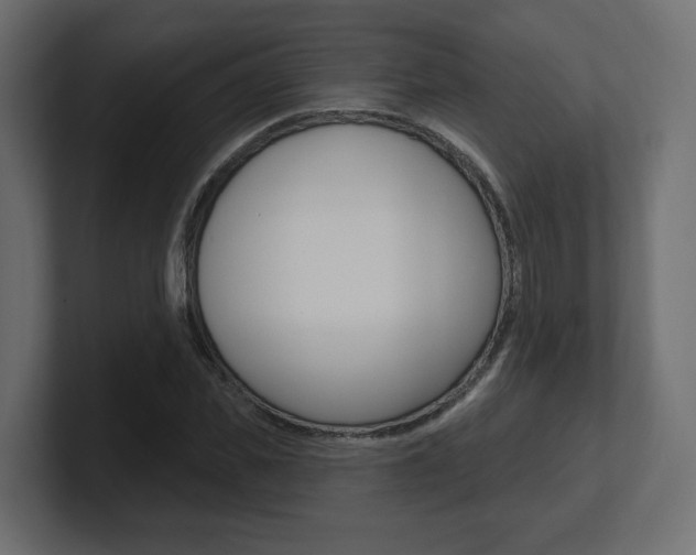 X0000101090925200806261059