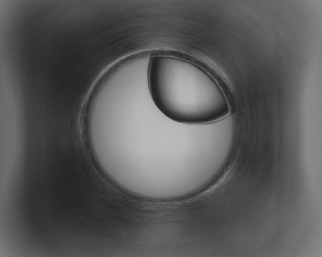 X0000101090926200806261059