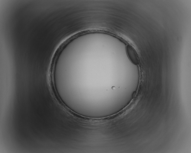 X0000101090928200806261059