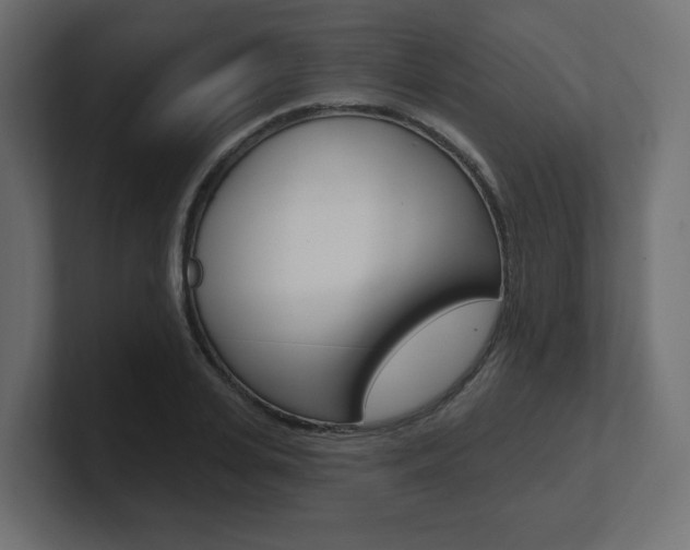 X0000101090935200806261059