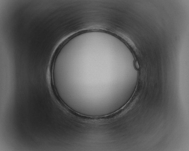 X0000101090936200806261059