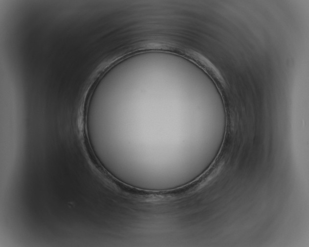 X0000101090938200806261059