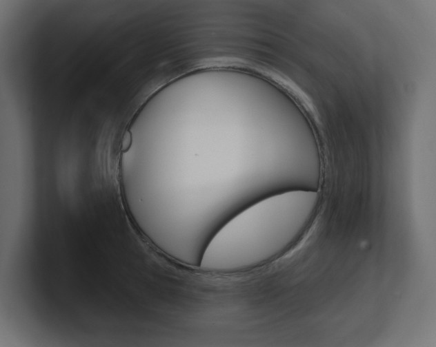 X0000101090945200806261059