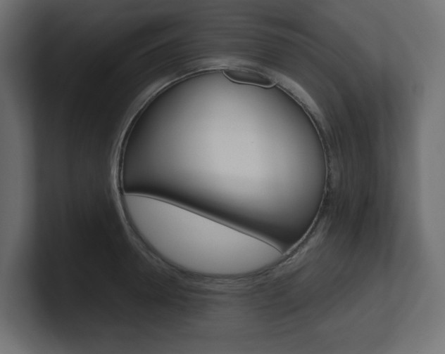 X0000101090946200806261059