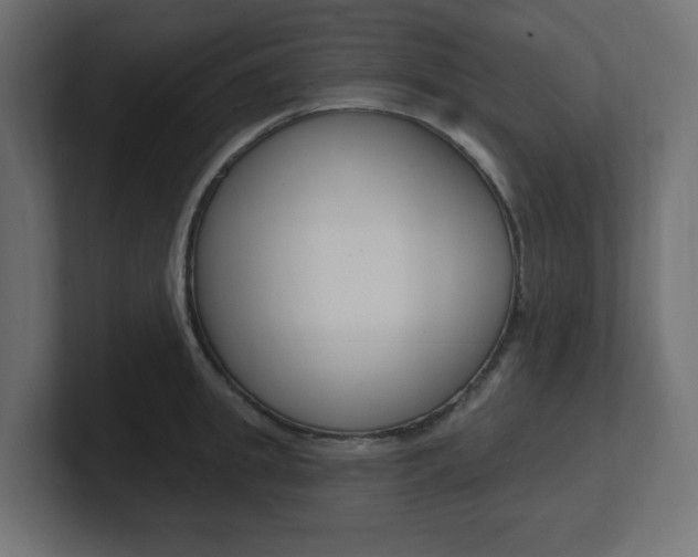 X0000101090949200806261059