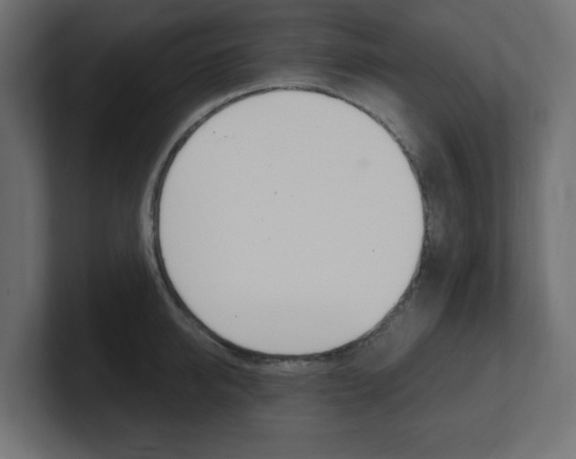 X0000101090950200806261059