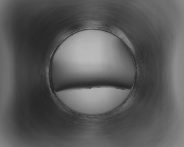 X0000101090954200806261059