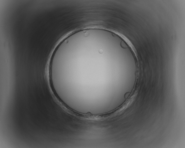 X0000101090957200806261059
