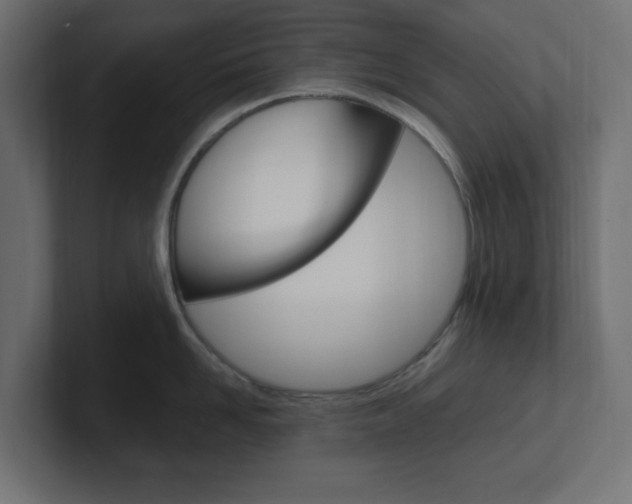 X0000101090958200806261059