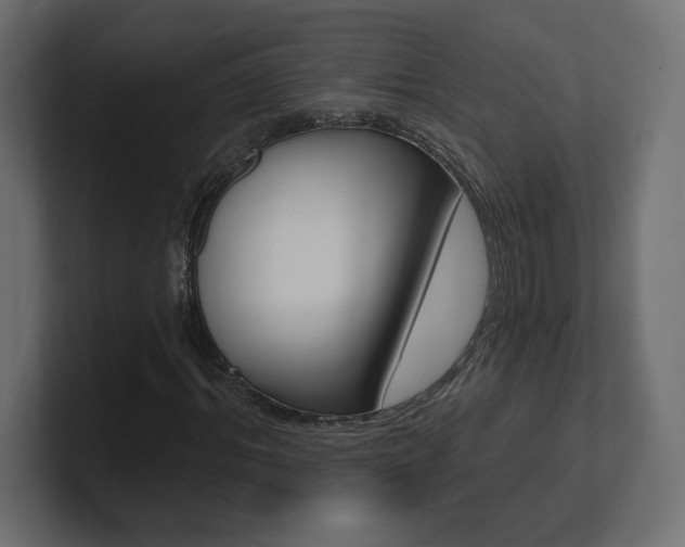 X0000101090964200806261059
