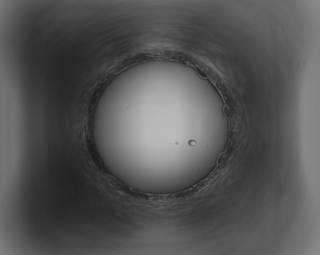 X0000101090965200806261059