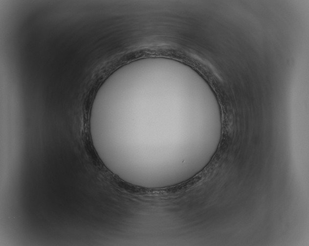 X0000101090966200806261059