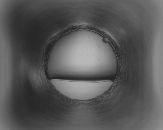 X0000101090967200806261059