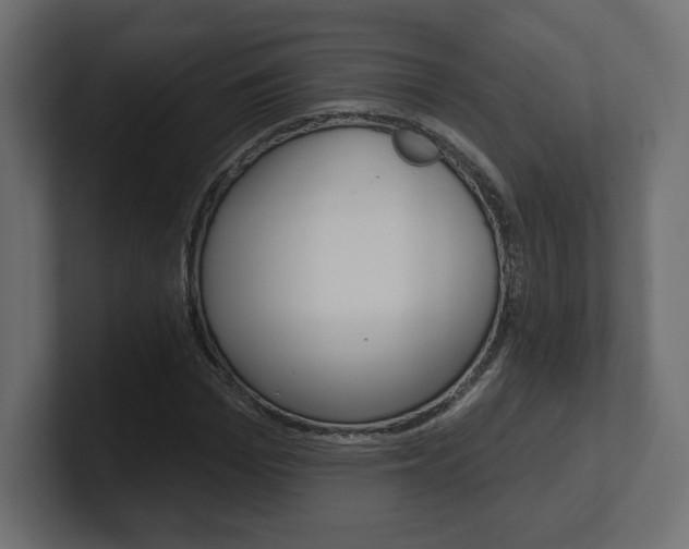 X0000101090969200806261059
