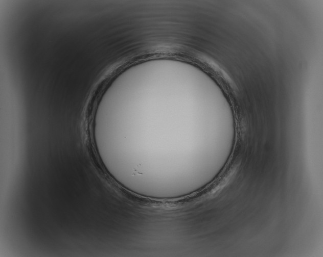 X0000101090970200806261059