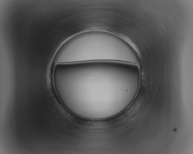 X0000101090972200806261059