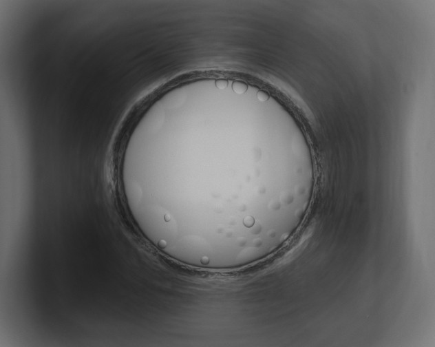 X0000101090974200806261059