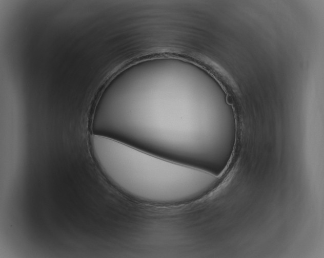 X0000101090977200806261058