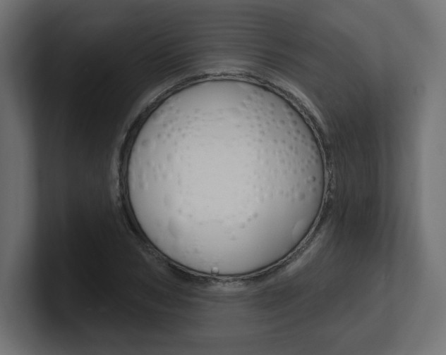 X0000101090978200806261058