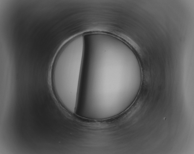 X0000101090980200806261058