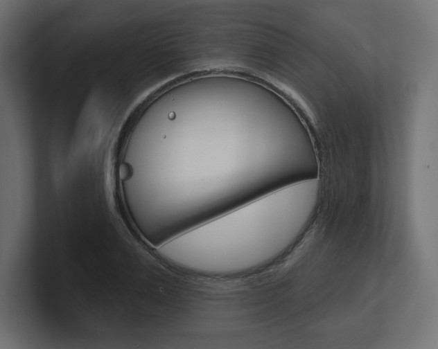 X0000101090983200806261058